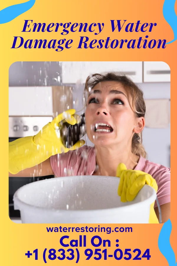 Emergency Water Damage Restoration in Shavano Park, TX
